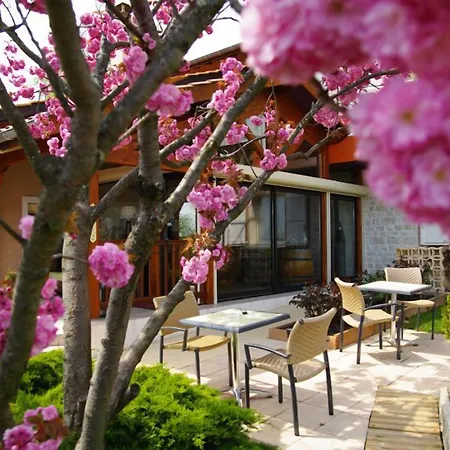 Hotel Logis Des Grands Vins Fleurie