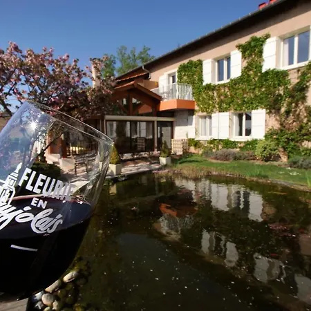 Hotel Logis Des Grands Vins Fleurie