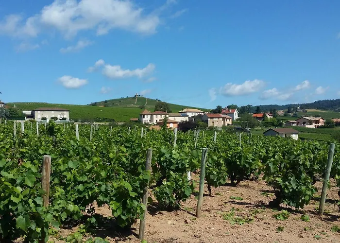 Logis Des Grands Vins 3*