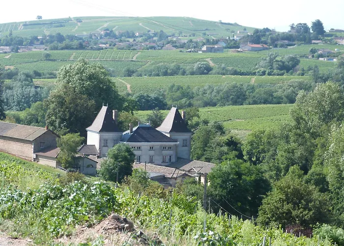 Logis Des Grands Vins