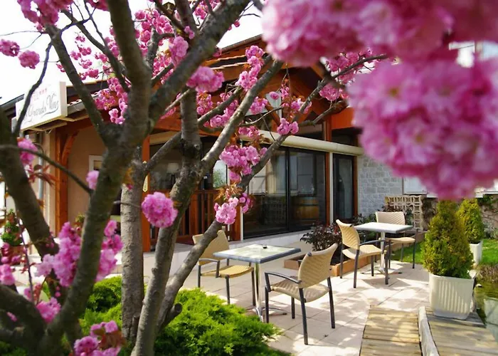 Hotel Logis Des Grands Vins Fleurie