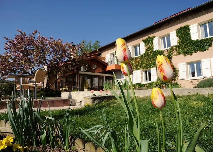 Logis Des Grands Vins Fleurie