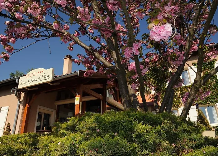 Logis Des Grands Vins Hotel 3*