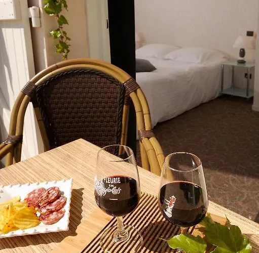 Logis Des Grands Vins Hotel 3*