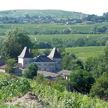 Logis Des Grands Vins 호텔