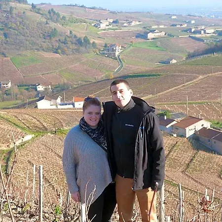 Logis Des Grands Vins 3* Fleurie