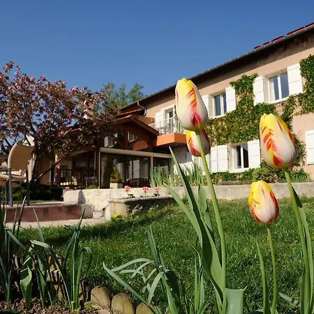 Logis Des Grands Vins Fleurie