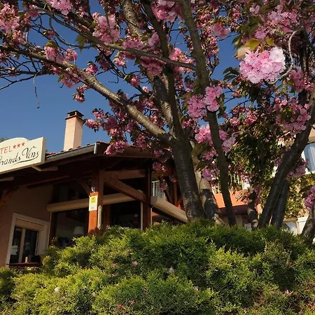 Logis Des Grands Vins Hotel 3*